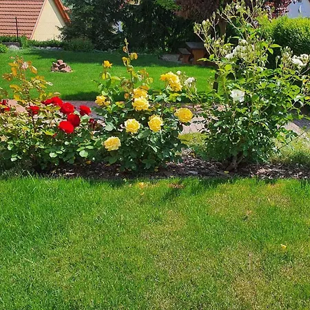 In - Balaton 18581 *