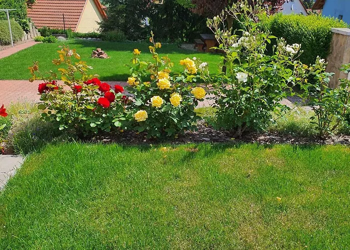 In - Balaton 18581 *